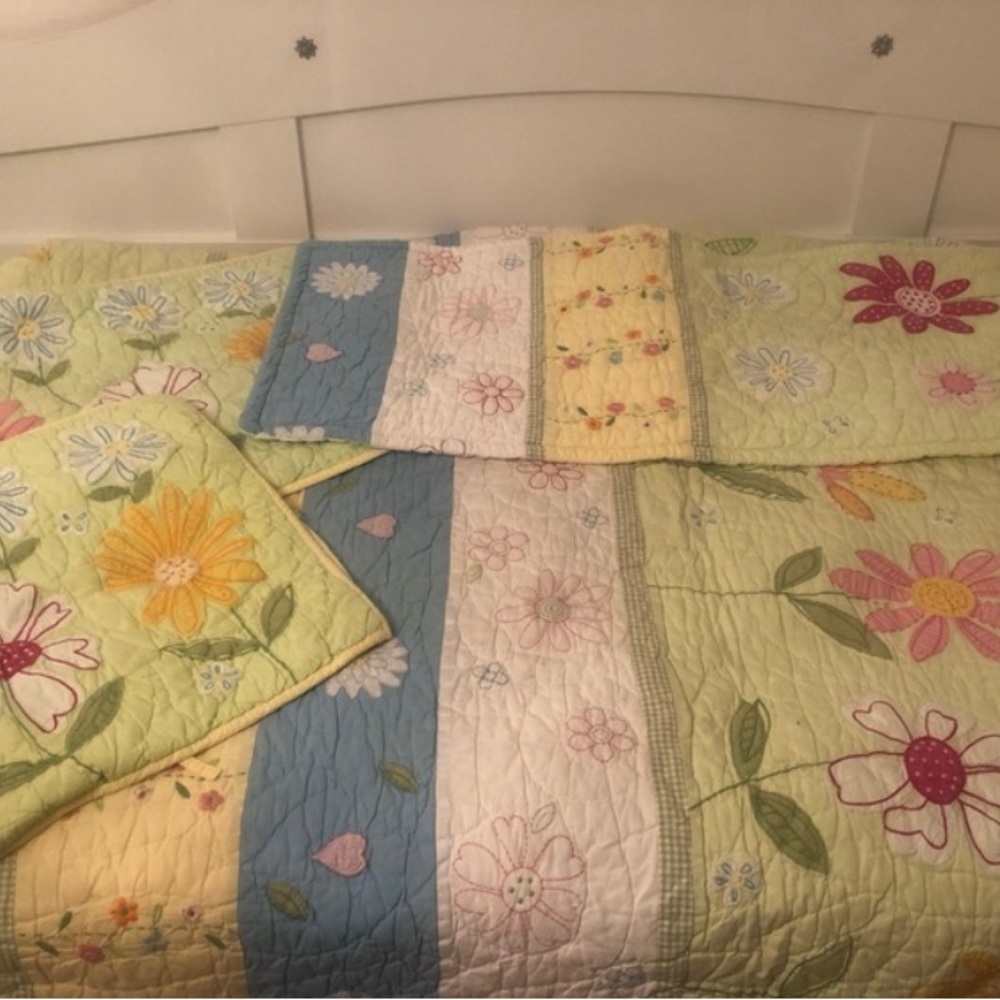 Beautiful Daisy Garden Pottery Barn twin comforter and matching pillow